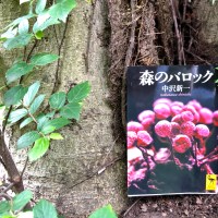 森のバロック①:南方マンダラの世界をのぞいてみる-無意識の集団記憶や共同幻想が生まれるメカニズム-
